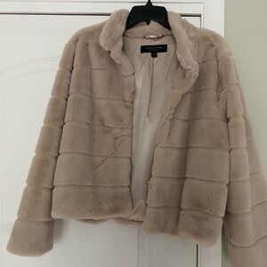 Marc New York Plush Teddy Jacket in Cream